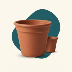 Terracotta Planters